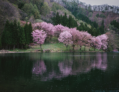 中綱湖