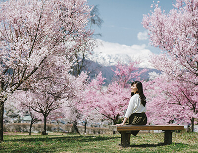 市民の森公園